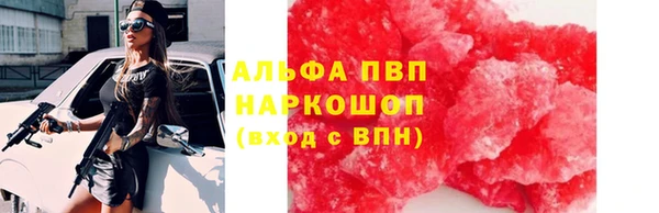 СК Протвино