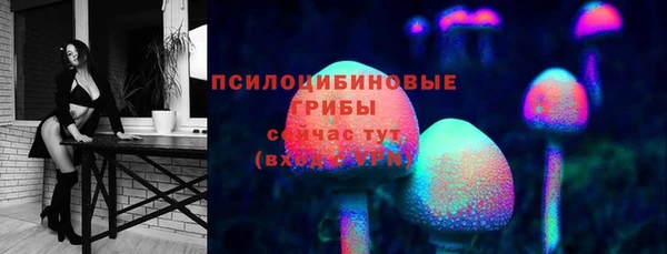 ПСИЛОЦИБИНОВЫЕ ГРИБЫ Бугульма