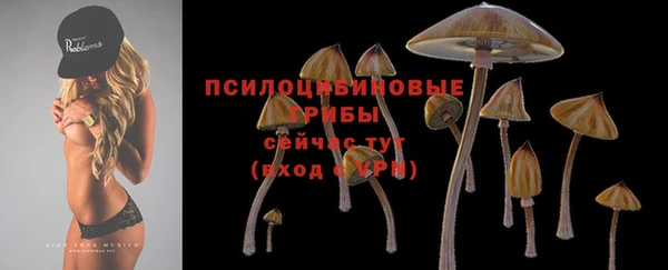 эйфоретик Бронницы