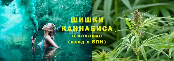мдпв Пролетарск