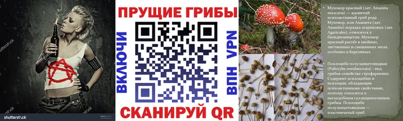 Псилоцибиновые грибы GOLDEN TEACHER Бугульма