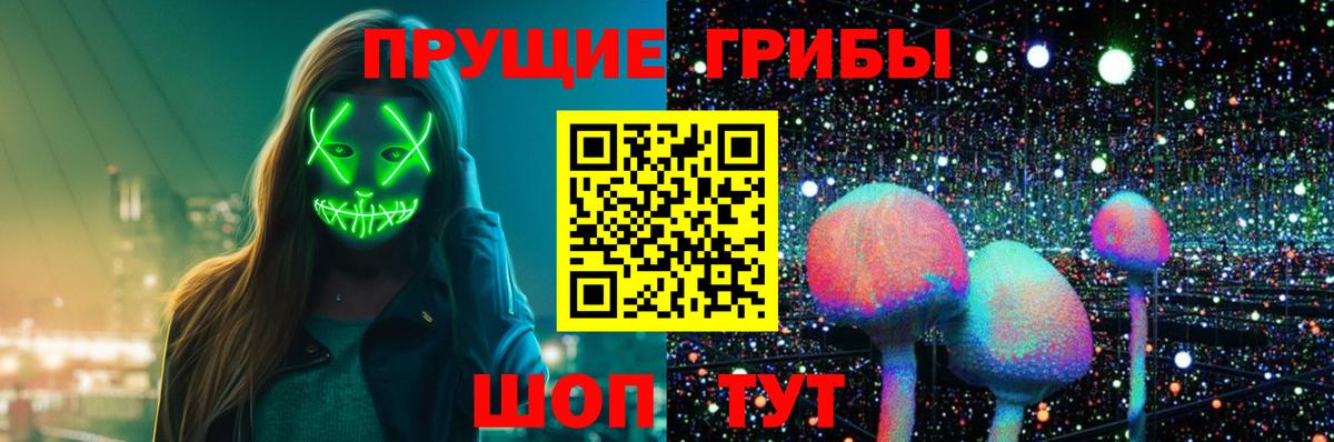 Галлюциногенные грибы Cubensis Бугульма